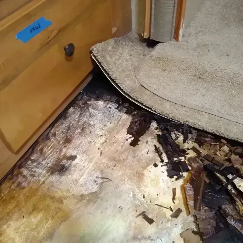 Wood Floor Water Damage in Holiday, FL